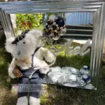 Gümüş Çerçeve Büyük Ayıcık Aynalı İsimli Kapı Süsü