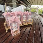 Ahşap Atlı Karınca Pleksi İsimli Bebek Hediyeliği