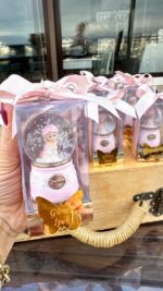 prenses bebek karküresi